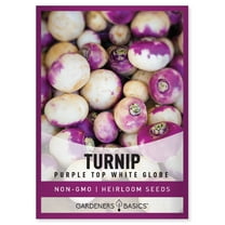Purple Top White Globe Turnip Seeds