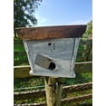 thumbnail image 4 of Home Bazaar HBA-1012 Cumberland Chicken Coop, 4 of 6