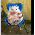 thumbnail image 4 of Hedgehog Mini Plastic Armchair Toys Decor Cage Accessories Hedgehog Supplies Photo Props Chair Toy Great For Small Animals Hamster Bird Parrot Mouse C, 4 of 4