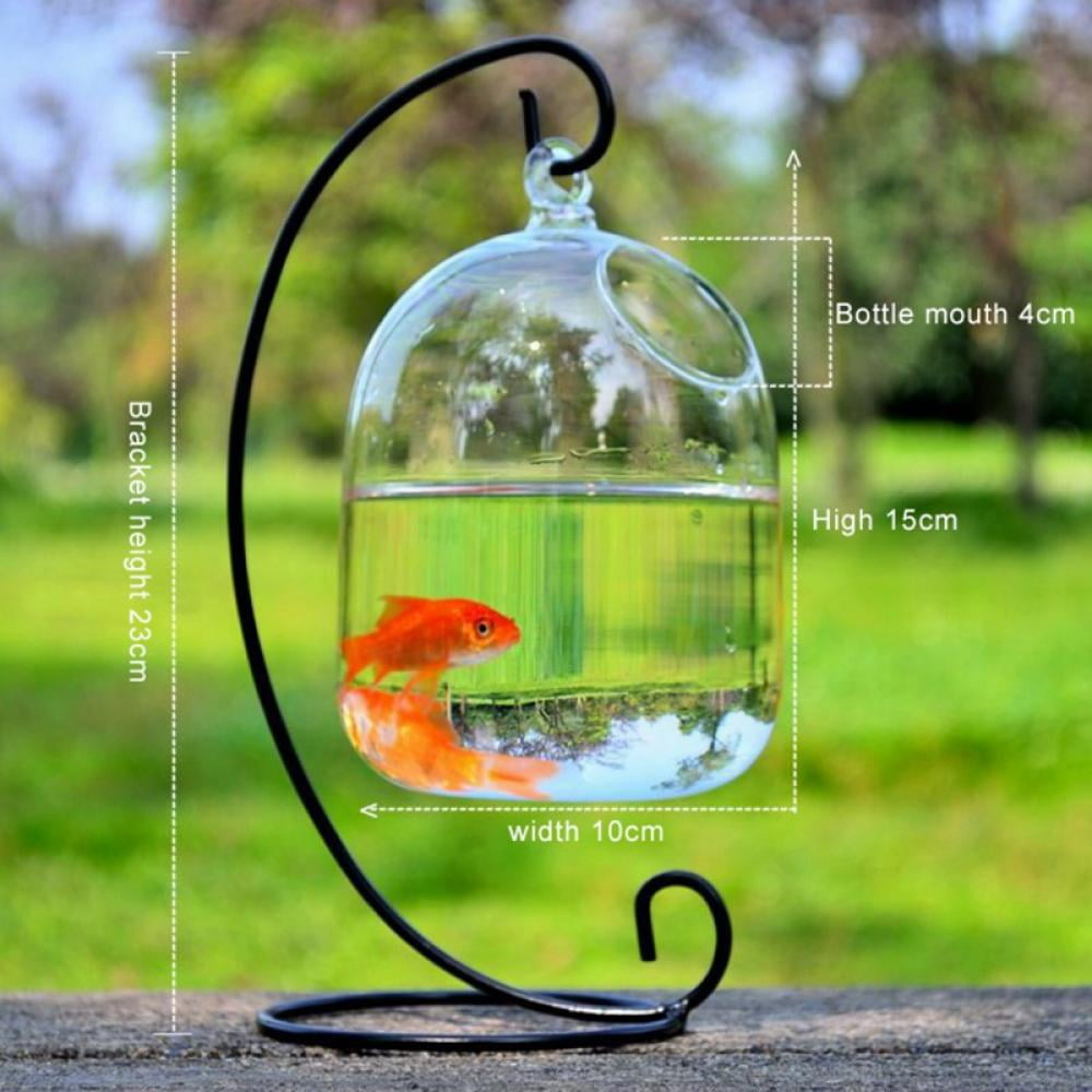 Hanging Ball Terrarium with Iron Hanging Stand Rack Holder，Glass Mini