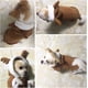 thumbnail image 5 of Disfraz de reno navideño KAIYANG para perros y gatos ropa cálida de vellón S M, 5 of 5