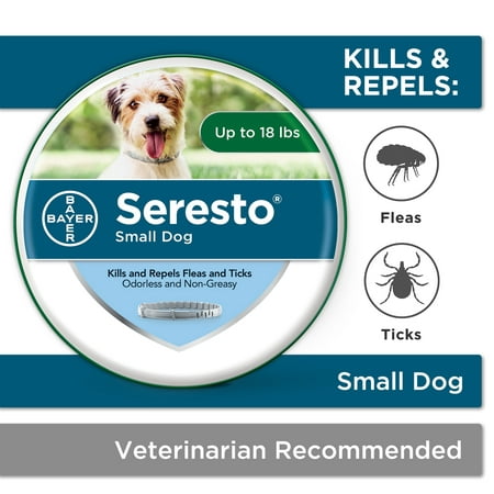 Seresto Flea and Tick Prevention Collar for Small Dogs, 8 Month Flea and Tick (Best Flea & Tick Collar For Dogs)