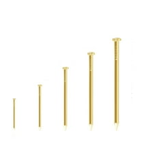 10PCS 0.8" Woodworking Nails – Round Iron Wall Nails Assorted Brass Finish Nails Set Multiple Sizes Flat Head Smooth Shank for Woodworking Home Improvement DIY Projects