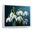 thumbnail image 2 of Designart "Snowdrop Winter Photography III" Snowdrops Floater Framed Canvas Prints, 2 of 5