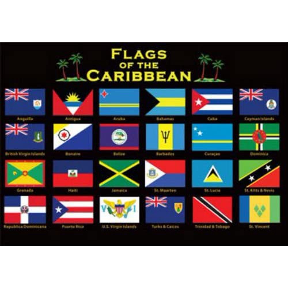 Caribbean Flags Fridge Collector's Souvenir 2.5 inches X 3.5