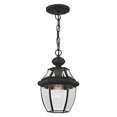 thumbnail image 2 of Livex Lighting Lumiere Suspendue Extérieure 1 Lumière 2152-02, 2 of 5