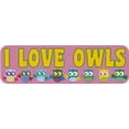 thumbnail image 4 of 10in x 3in I Brake for Owls Vinyl Sticker, 4 of 4