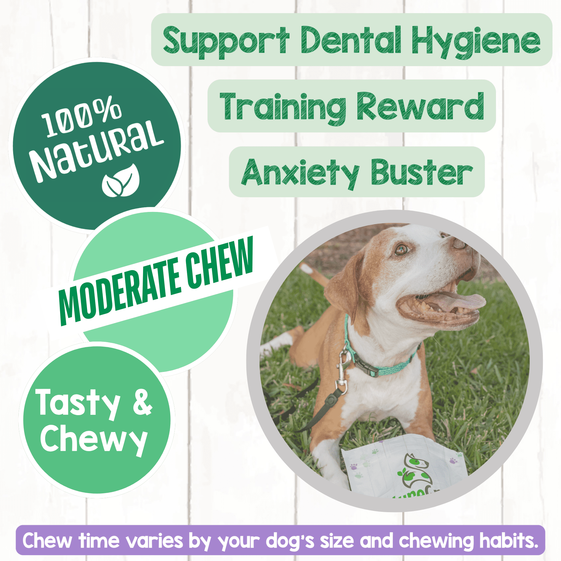 Nature Gnaws Braided Beef Chews, Natural Dog Chew Treats (3 count)
