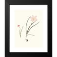 thumbnail image 2 of Priscilla Susan Bury 19x24 Black Modern Framed Museum Art Print Titled - 1. Zephyranthes Carinatus. 2. Zephyranthes Rosea. (1834), 2 of 5