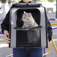 thumbnail image 2 of Purple Small Pet Travel Backpack for Cats & Dogs Under 10 lbs - 50L Spacious, Breathable Rolling Shutter Design to Reduce Stress, Portable DurableCarrier for Outdoor Adventures & Daily Outings,, 2 of 6
