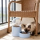 thumbnail image 4 of Comedero automático para mascotas con temporizador y almacenamiento sellado - Dispensador programable de pienso seco para gatos, perros y animales pequeños, 4 of 6