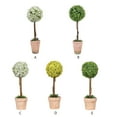 thumbnail image 3 of Planta en Maceta Bearachild Decoración Realista FY118-Bebé Lágrima Verde, 3 of 6