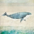 thumbnail image 2 of Great Art Now Whale by JMB Designs, Canvas Wall Art, 24W x 24H, 2 of 2