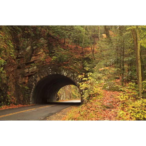 USA, Tennesse. Tunnel along the road to Cades Cove in the fall. Poster Print by Joanne Wells (18 x 24)