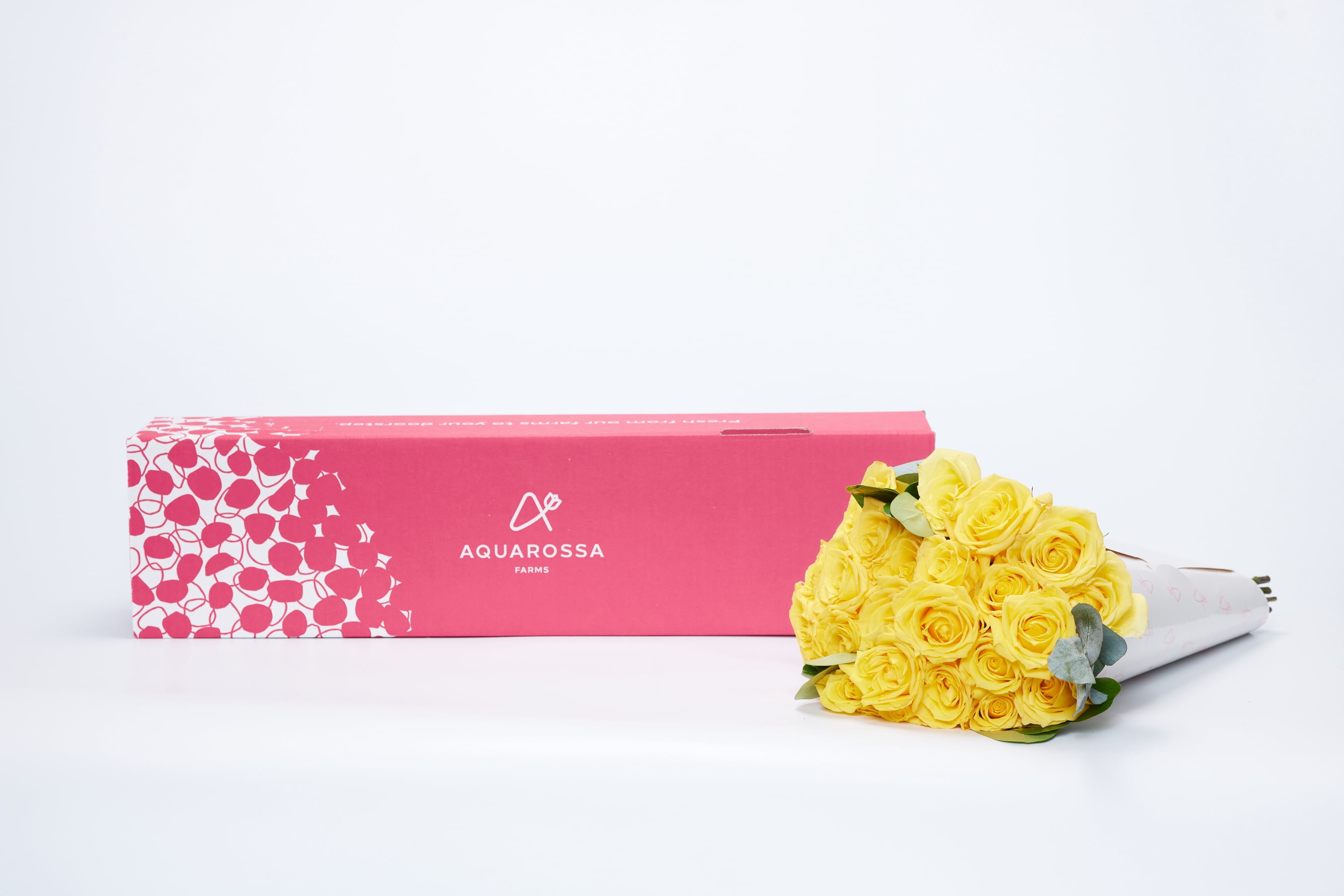 Yellow Roses Fresh Flowers Delivery - 1 Dozen Roses for Delivery/Farmhouse Flowers for Delivery - Fresh Cut Long Stem Roses Bouquet of Flowers Birthday Gifts for Women - Aquarossa Farms