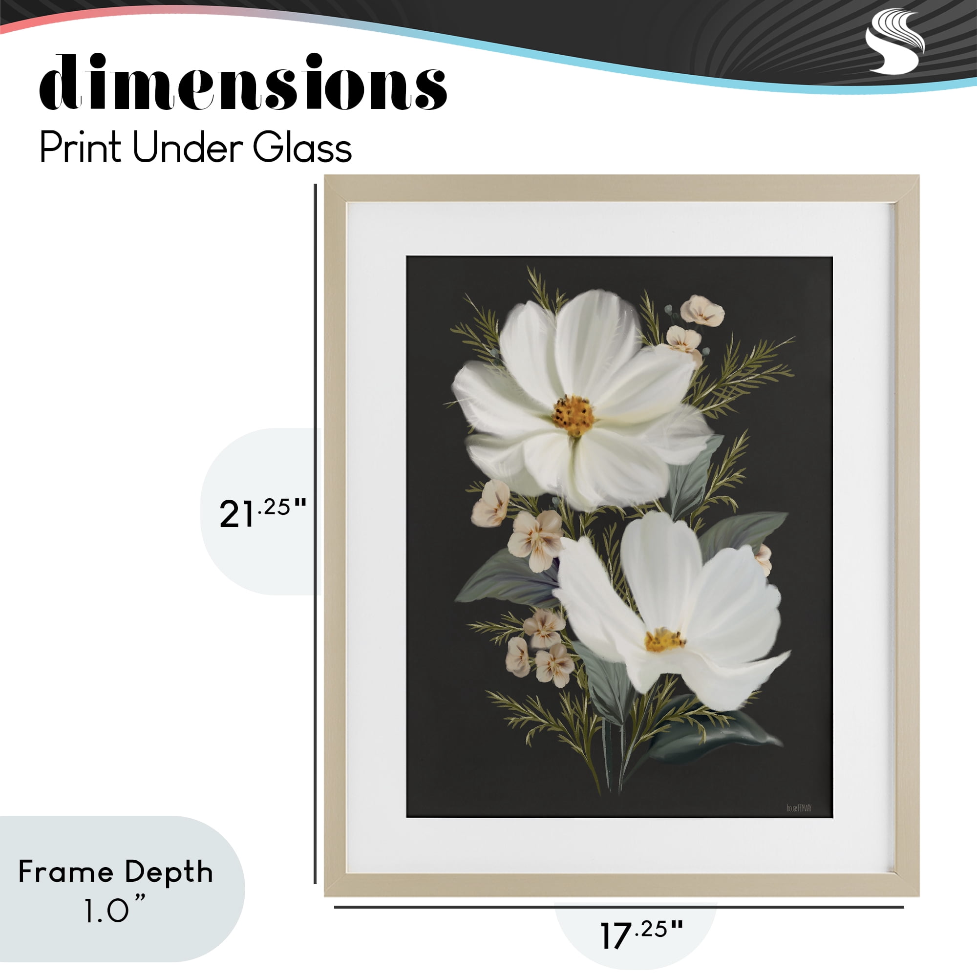 Stupell Industries Old Lace Cosmos Birch Framed Print Under Glass, design by House Fenway