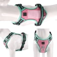 thumbnail image 5 of No Pull Dog Harness and Leash Set, Reflective Adjustable Pet Vest with Easy Control Handle, Breathable Padded Mesh Training Harness for Small Medium Large Dogs, 5 of 6