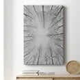 thumbnail image 6 of Deciduous Canopy I Premium Gallery Wrapped Canvas - Ready to Hang, 6 of 9