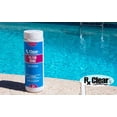 thumbnail image 5 of Rx Clear Filter Renu Swimming Pool Filter Granulated Compound Cleaning Agent, 2.5 lbs, 5 of 5