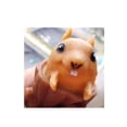 thumbnail image 1 of Schylling Nutty Squirrel Popper Toy, 1 EA, 1 of 2