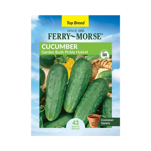 Ferry-Morse 700MG Cucumber Garden Bush Pickle Hybrid Annual Vegetable Seeds, Full Sun