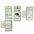 thumbnail image 5 of Danger Noodle Card Game from University Games, 2 to 8 Players Ages 12 and Up, 5 of 5