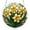 #A42-Yellow Daffodils, variant on SRVOG Acrylic Puzzle Suncatcher Window Hanging, Sailboat at Sunset Sun Catchers Puzzle, DIY SunCatchers Puzzles Window Hanging, Home & Garden Decor, 7.4 in