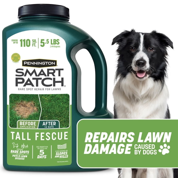 Pennington Smart Patch Tall Fescue Grass Seed Mix, for Sun to Moderate Shade