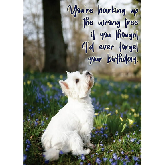 Glory To Dog You're barking up the wrong tree if you thought I'd ever forget your birthday Greeting Card