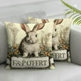 thumbnail image 2 of Nawypu  Vintage Farmhouse Bunny Throw Pillow Covers Retro Farm Rabbit Feed Home Décor Throw Pillow Case Cushion Cover Set of 2 (Vintage Rabbit) 20x20in, 2 of 6