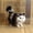 Style1, variant on BESTSKY Cat Stuffed Animal,Decorative Feline Figurine Stuffed Cat,Brings Warmth and Natural Charm Cat Toys for Kids,Style1