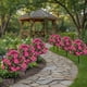 thumbnail image 1 of Arreglo Floral Artificial de Begonia para Exteriores, Patio, Maceta, Decoración de Simulación - Flores Artificiales de Plástico para El Hogar, Jardín, Balcón, Puerta, 55 Cm de Alto, 1 Unidad, 1 of 7