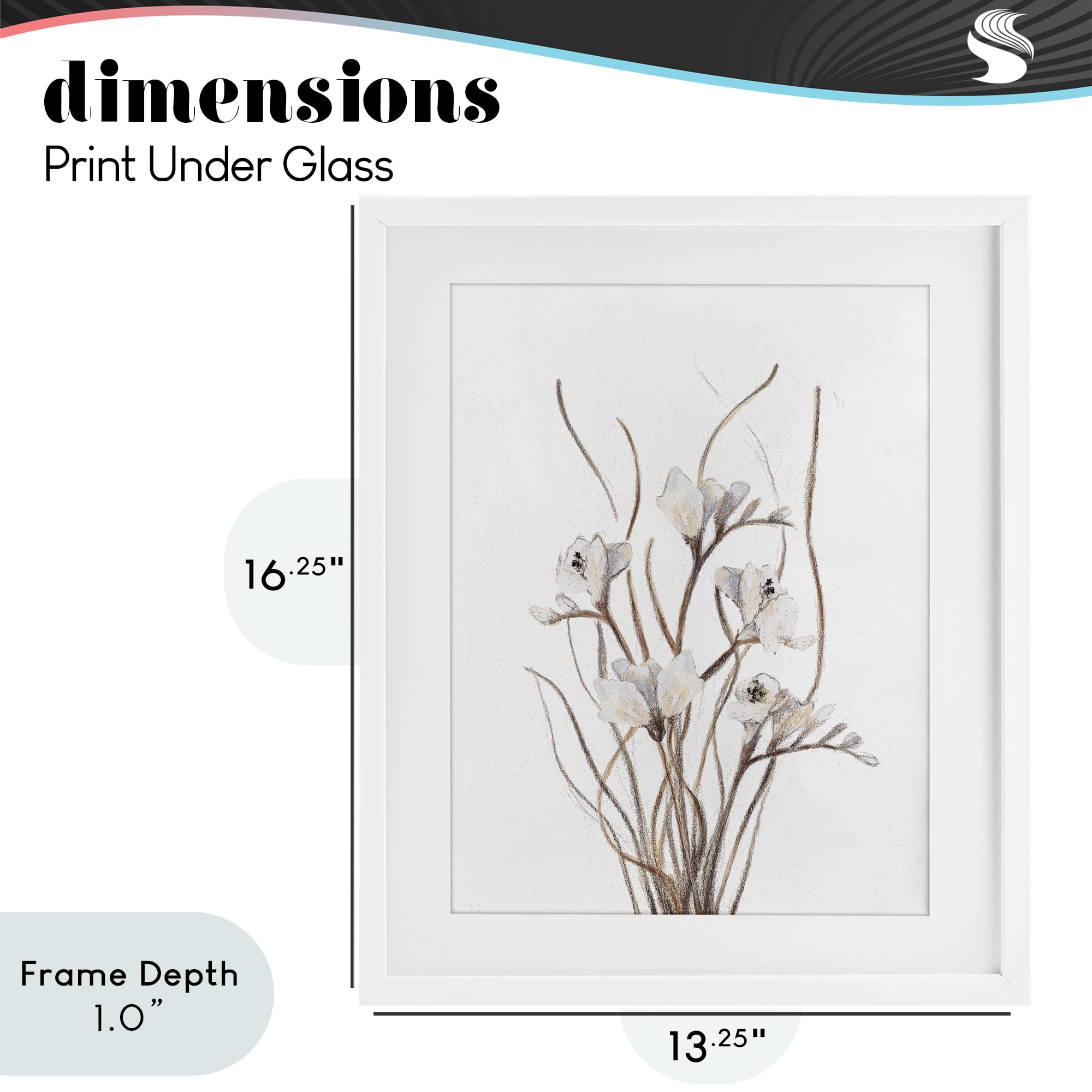 Stupell Industries Curly Branches on White White Framed Print Under Glass, design by Lanie Loreth