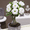 White, variant on White Desert Rose Plant (Adenium) 4–6 Inches Tall, Flowering Succulent Plant for Indoor or Outdoor Growing
