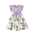thumbnail image 1 of dmqupv Robe Fille Courte Robes pour Tout-Petites Manches Volantées Robe à Imprimé Papillon Robes d'Été de Plage Violet, Taille pour 3-4 Ans, 1 of 7