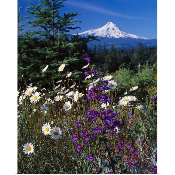 Great BIG Canvas | "Mt. Hood V" Art Print - 16x20
