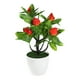 thumbnail image 2 of Simulation Of 7 Pachycarpus Fortunei Large Fruit Bonsai Living Room Coffee Table Decoration Photography Props Wine Cabinet Decoration, 2 of 6