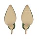 thumbnail image 5 of Zapatillas Dorothy Gaynor Verde Dama T 22.5, 5 of 7