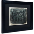 thumbnail image 2 of Trademark Fine Art "Forest Dreams" Canvas Art by Patty Tuggle, Black Matte, Black Frame, 2 of 4