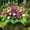 240#E, variant on Memorial Day Cemetery Flowers, Artificial Saddle Flower Grave Decoration Weather Resistant Memorial Arrangement, Sympathy Tombstone Floral Tribute for Cemetery Memorial Garden Veterans Honor Display