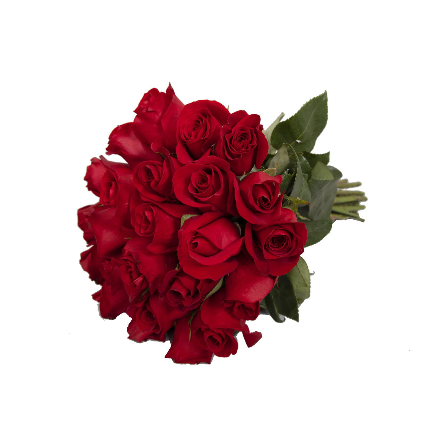 Blooms2Door 25 Red Roses (Farm-Fresh, Long Stem - 50cm) - Farm Direct  Wholesale Fresh Flowers
