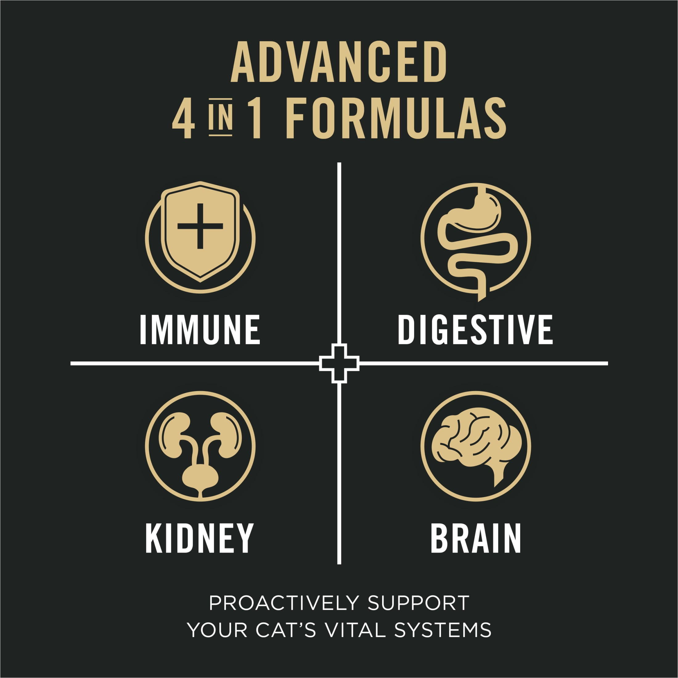 Purina Pro Plan Vital Systems Turkey Wet Cat Food Pate 4-in-1 brain, kidney, digestive and immune formula