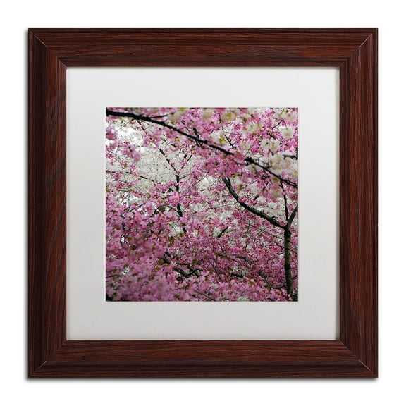 Trademark Fine Art "Cherry Blossoms 2014-3" Canvas Art by CATeyes, White Matte, Wood Frame