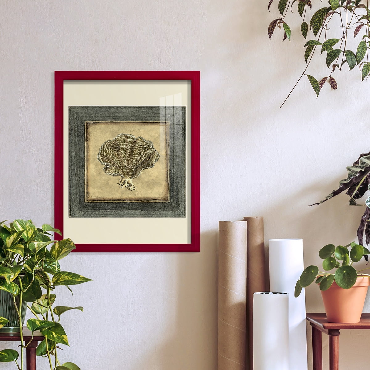 Mini Exotic Coral VI (U) - Framed Print w/glass - Cherry Red