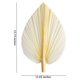 thumbnail image 5 of Hojas de Palma Secas Blancas Grandes - Calidad Premium - 3 Piezas Elegante y Moderno Boho DecoracióN para el Hogar y la Boda - Arte de la Pared, 5 of 5
