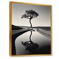 thumbnail image 2 of Designart "Zen Serenity In Minimalist Scenery III" Power Plants Floater Framed Canvas Wall Art, 2 of 5