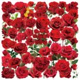thumbnail image 1 of Pegatinas PET de vinilo transparente con forma de rosa roja, impermeable, 50 unidades, 1 of 2