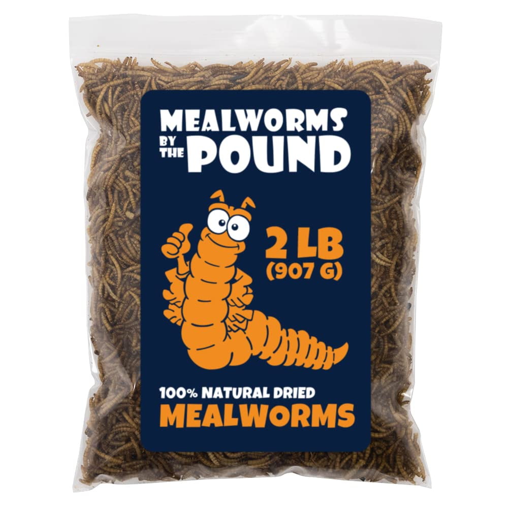 MBTP Bulk Dried Mealworms Treats for Chickens & Wild Birds (2 Lbs