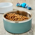 thumbnail image 2 of Vibrant Life Medium Stainless Steel Double Wall Dog Bowl, Green, 2 of 6