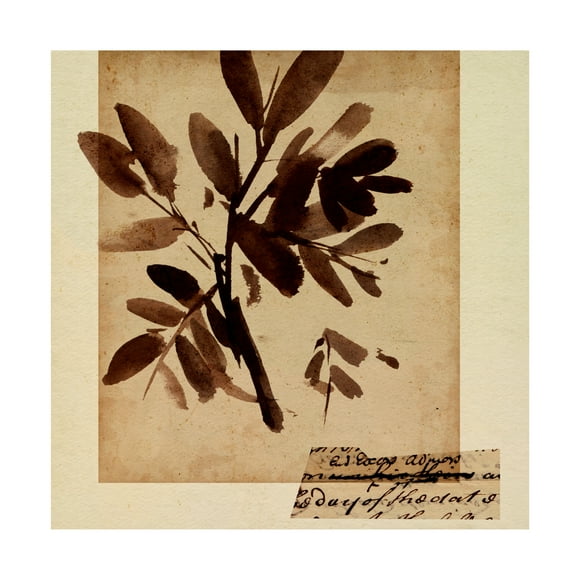 Canvas Wall Art - Melissa Wang 'Last Memory III' Wall Art for Living Room, Bedroom, or Office Décor by Trademark Fine Art - 14 x 14 Inches